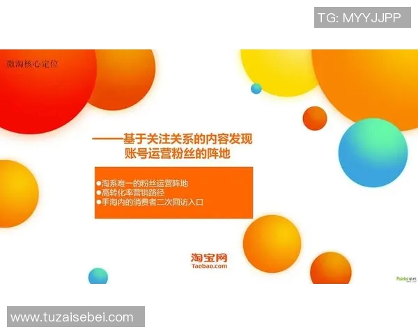 深入探讨北京排球队的运营模式与发展策略解析