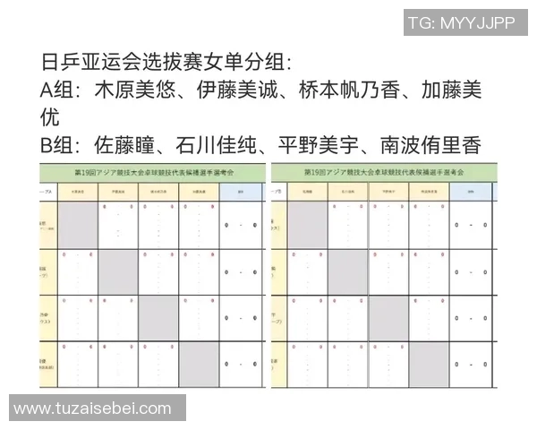 上海篮球队选拔赛背后的奋斗与成长历程揭秘