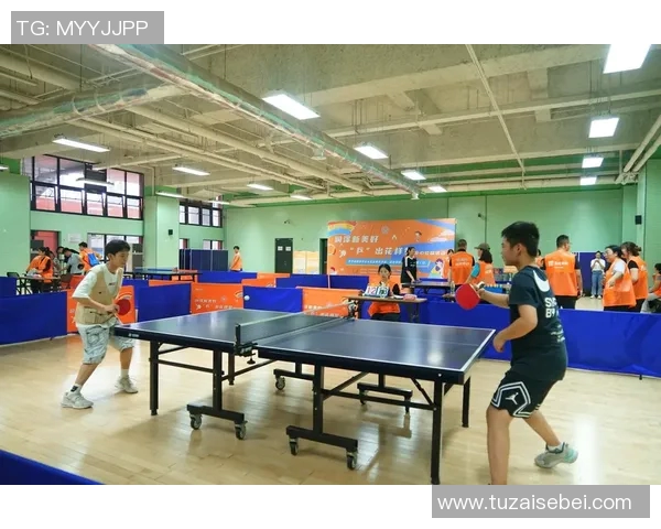 乒乓球的梦想与奋斗：北京乒乓球队成长历程的真实记录与感悟