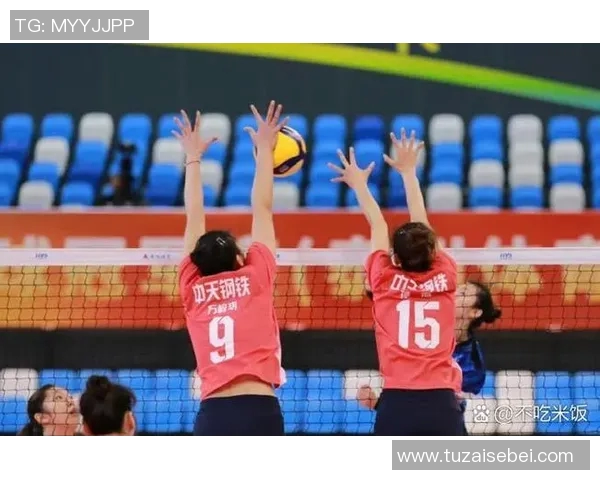 南京排球队实力强劲排球个人能力排行榜揭晓第5名荣誉