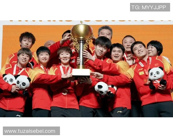 成都乒乓球队速度之争引发热议球迷与专家各执己见探讨技术与战术