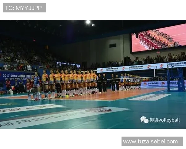 成都排球队实力深度解析与对手力量对比全景分析 成都排球队实力深度解析与对手力量对比全景分析