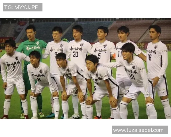 成都网球队整体压制战术解析与实战应用探讨 成都网球队整体压制战术解析与实战应用探讨