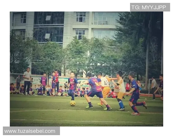 日本足球明星小学生的成长之路与梦想追逐的故事