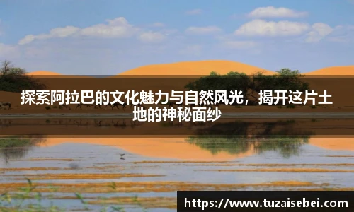 凤凰联盟